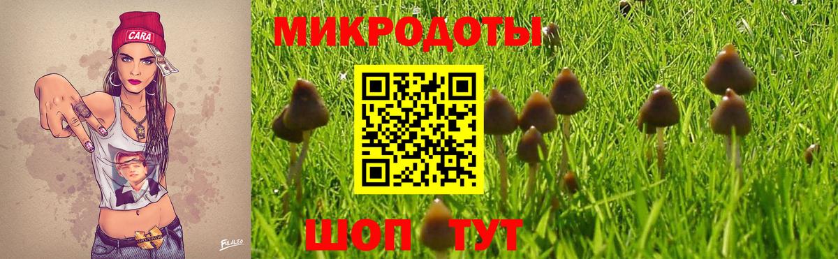 Псилоцибиновые грибы Psilocybe  Псилоцибиновые грибы Psilocybine cubensis  Вход с VPN  Сокол 